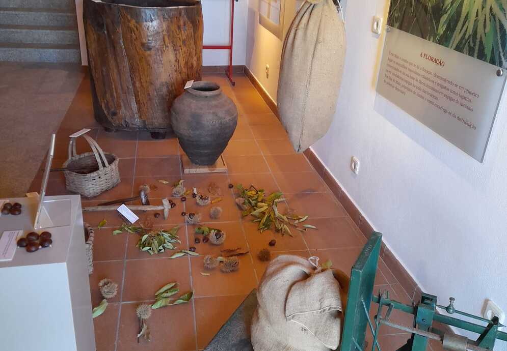 Museu da Castanha | interior