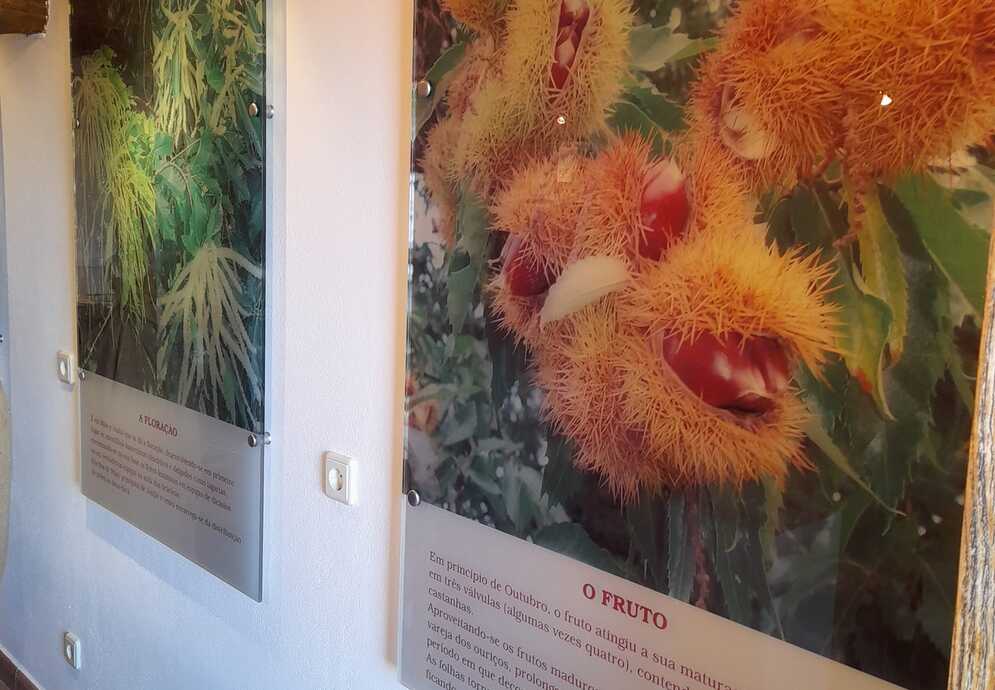 Museu da Castanha | interior