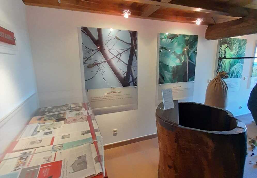 Museu da Castanha | interior