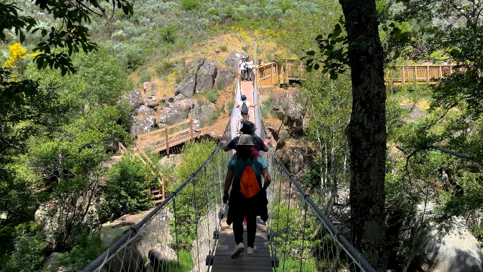 Passadiços Mondego | ponte suspensa