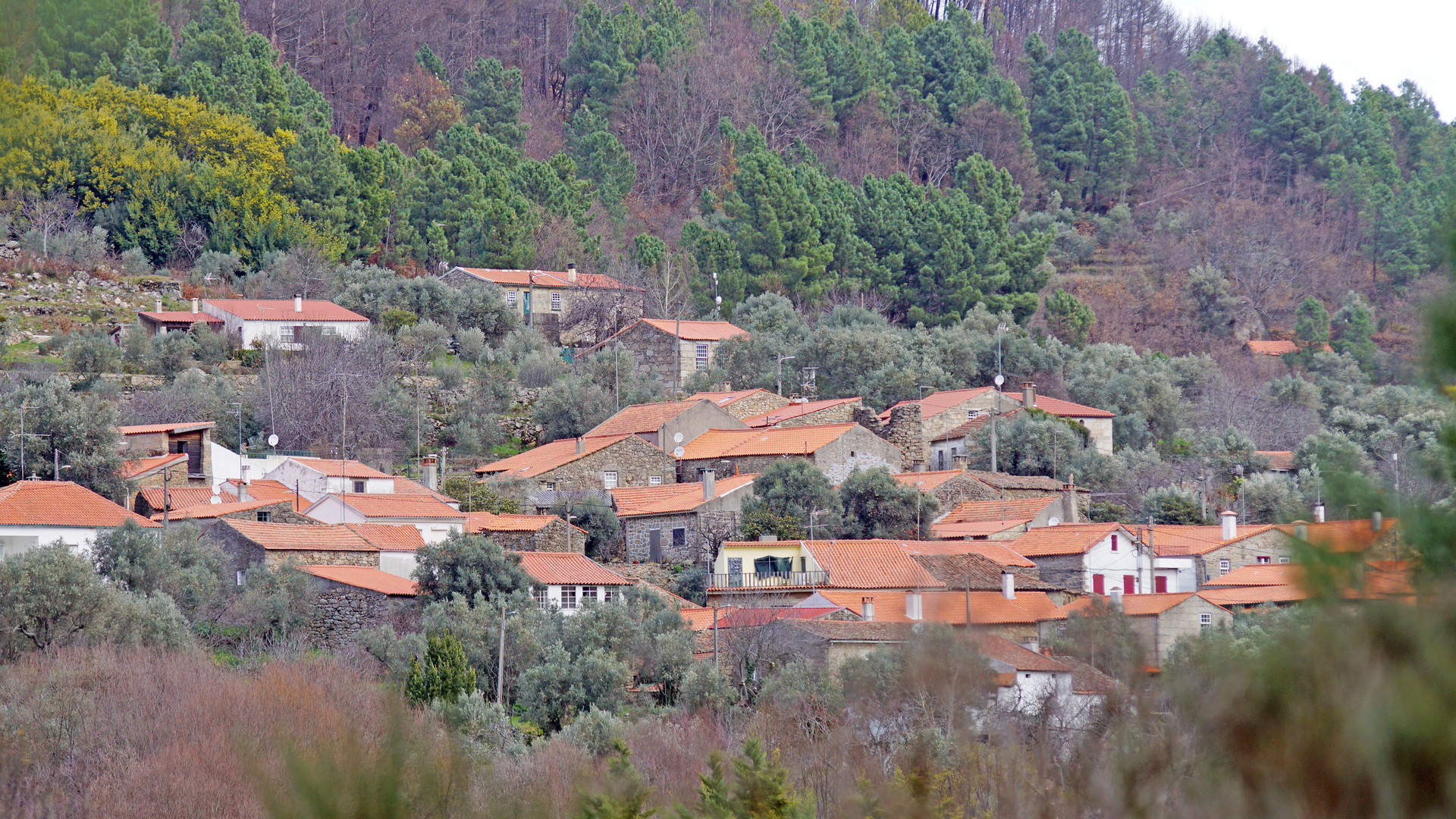 Vila Soeiro;