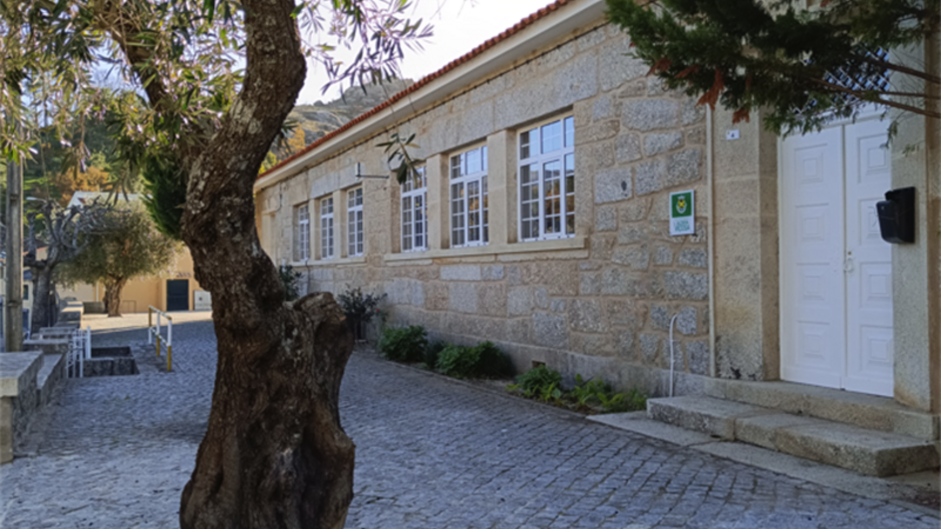 Museo - Escuela;