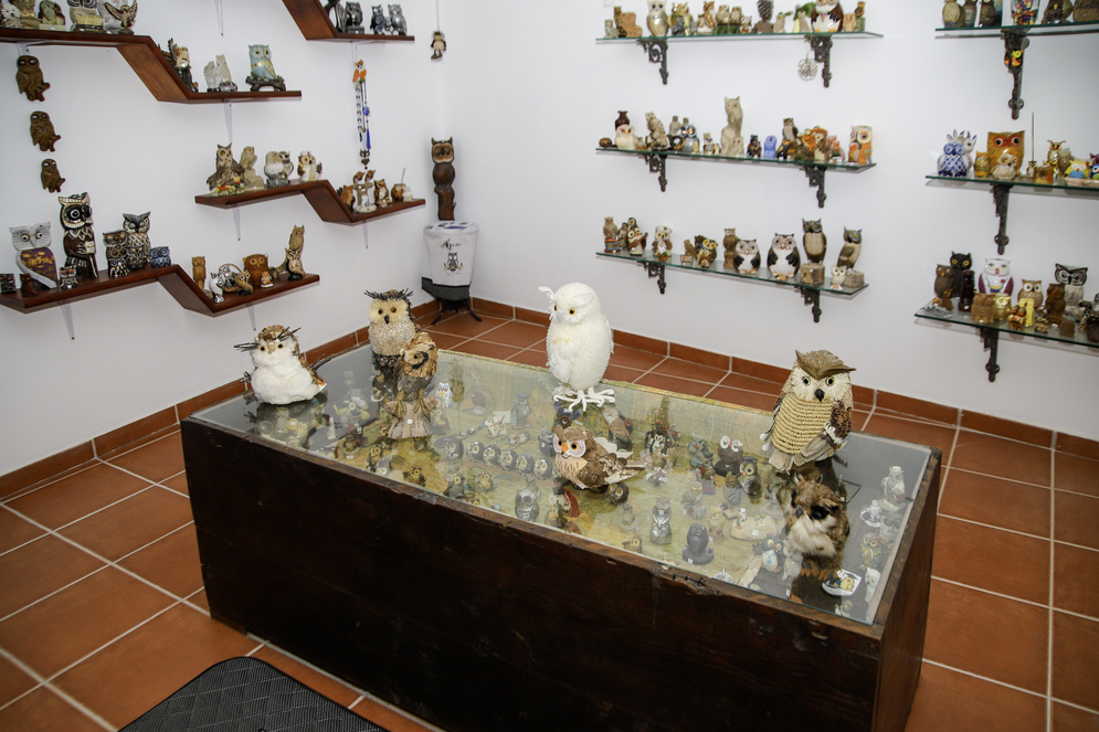 museu da coruja 