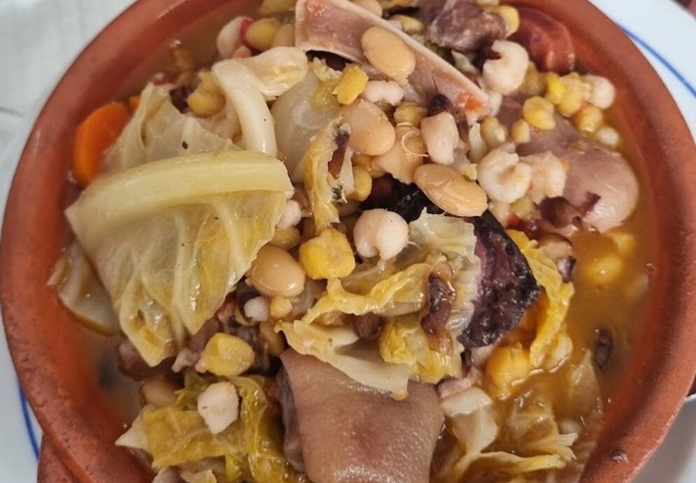 fonte: mondego
