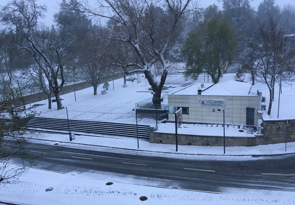 fonte: alameda