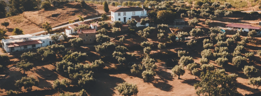 fonte: quinta da portela 
