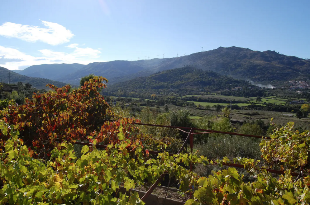 fonte: quinta do seixo