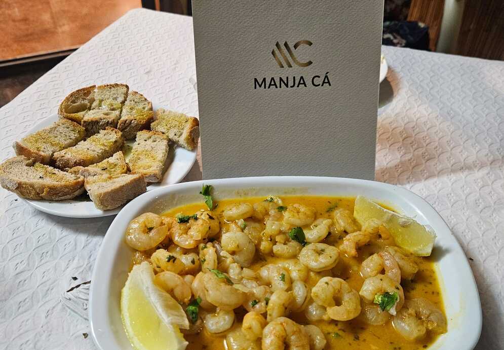 fonte: manja cá