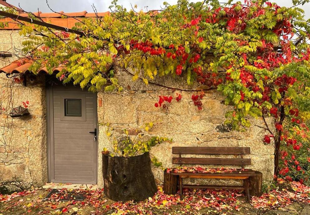 fonte: quinta borges