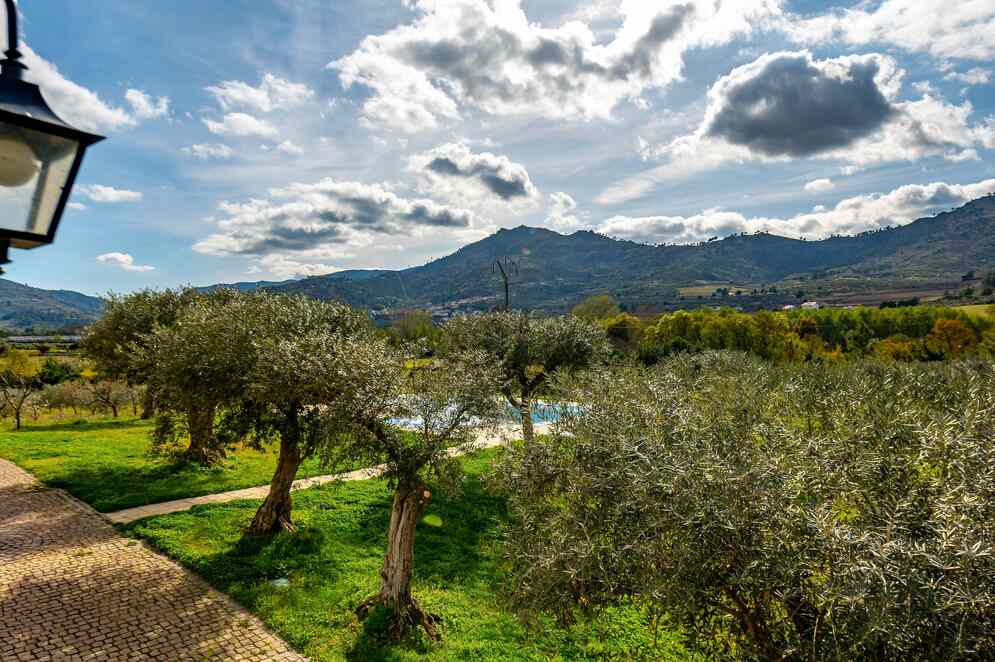 fonte: quinta do quinto