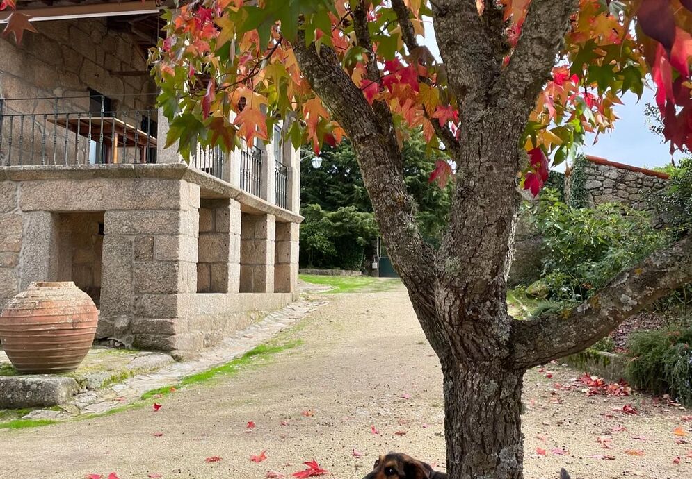 fonte: casal da gata