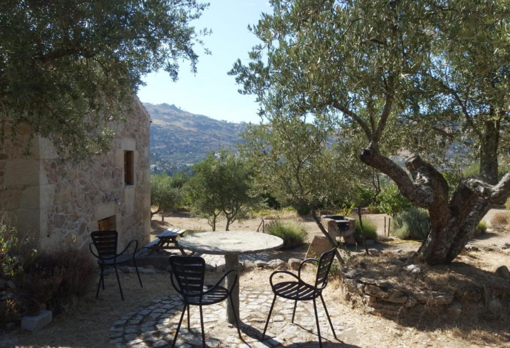 fonte: casa da carriça