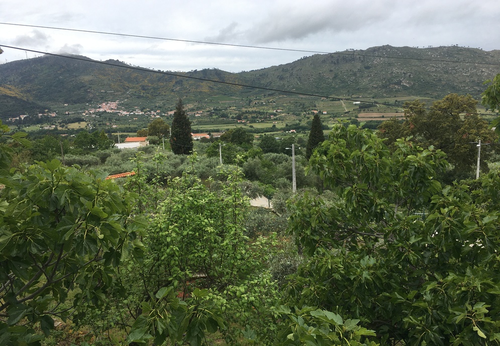 fonte: Cavadoude