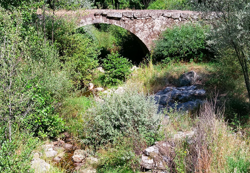 fonte: Benespera