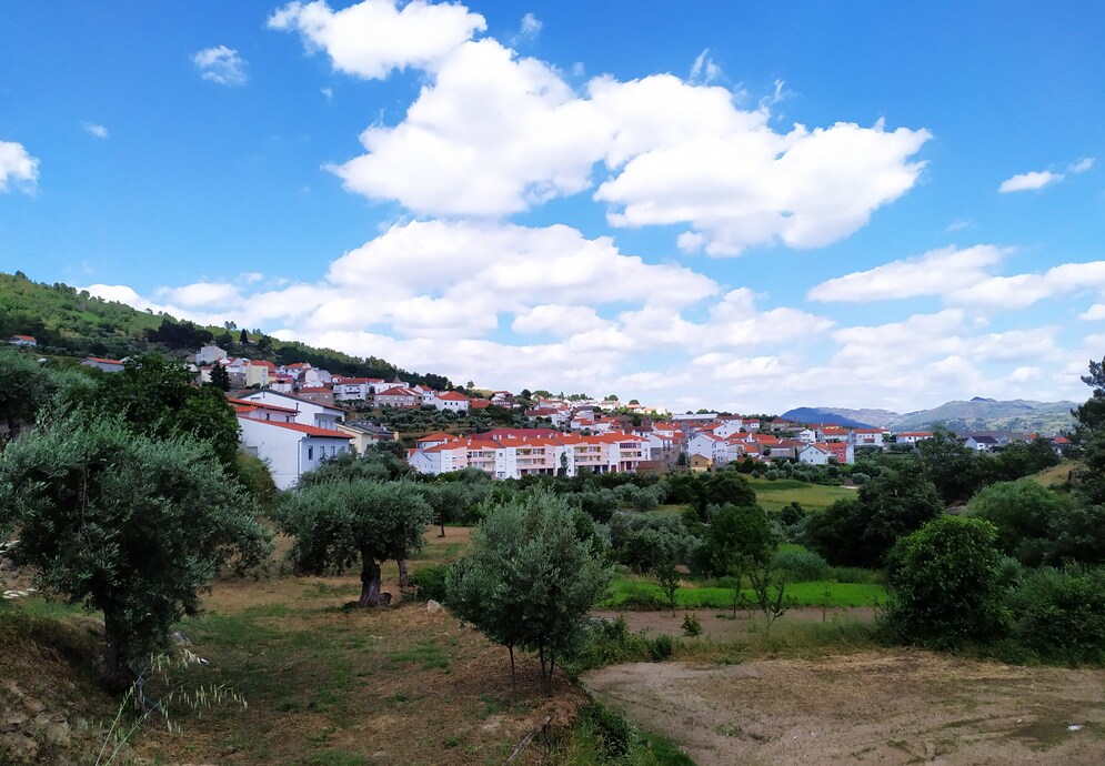 fonte: Gonçalo 