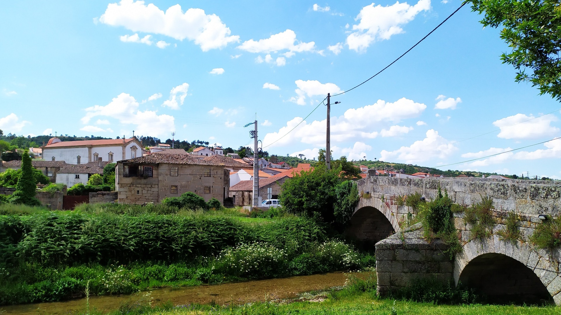 Avelãs da Ribeira;