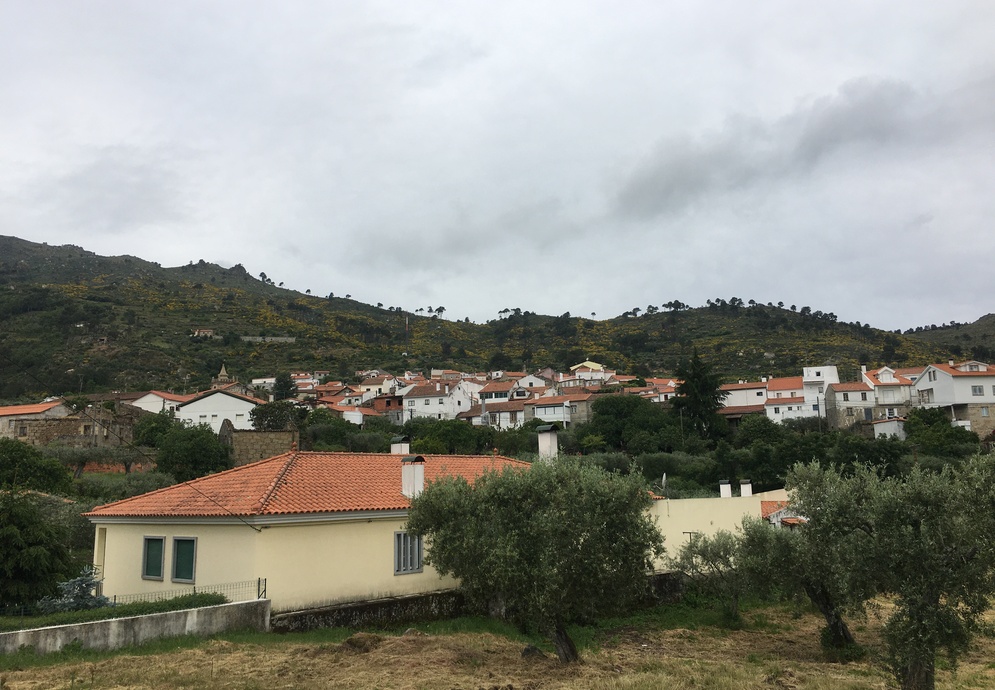 fonte: Aldeia Viçosa 