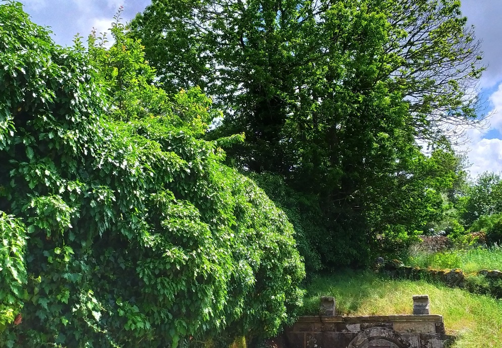fonte: Alvendre
