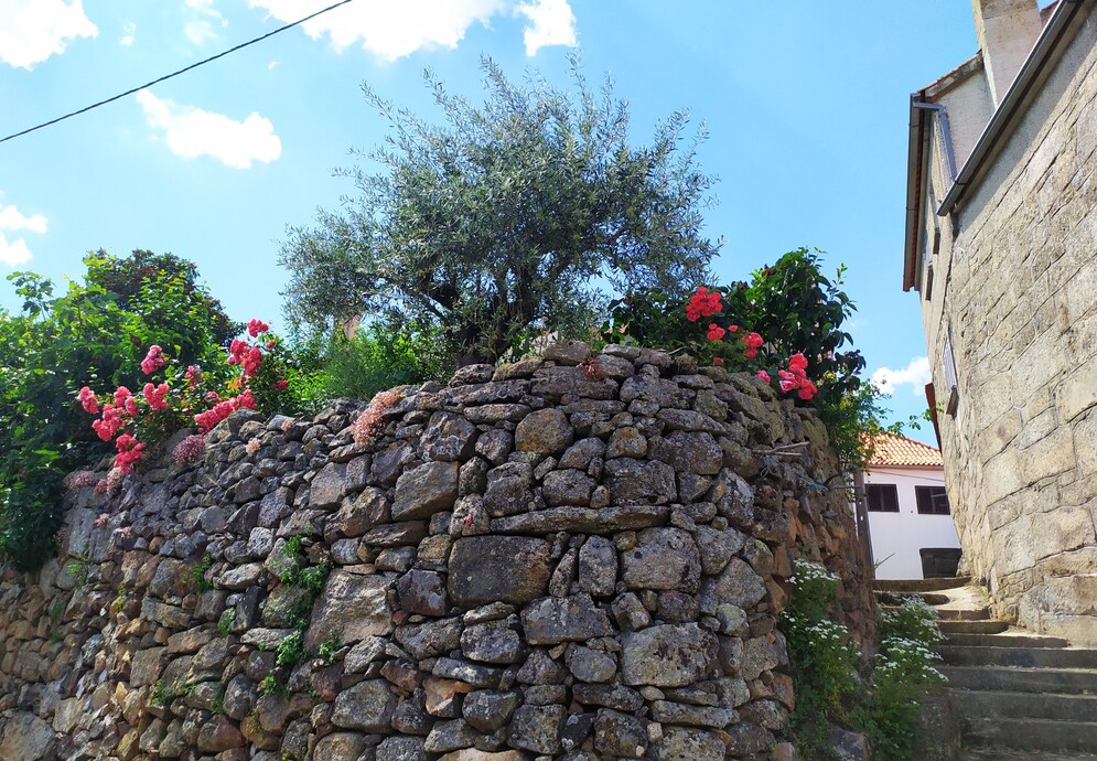 fonte: marmeleiro 