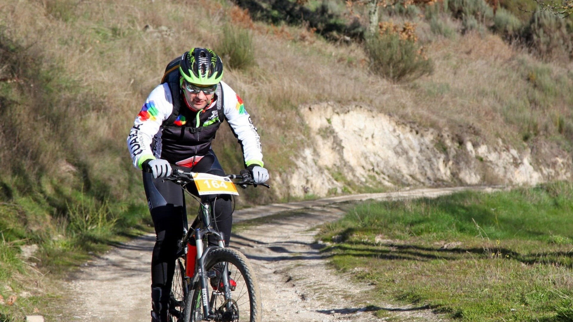 cyclin guarda;