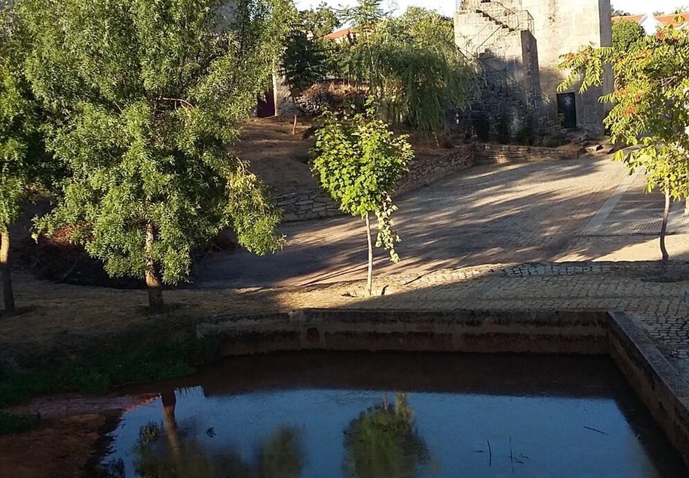 fonte: albardo