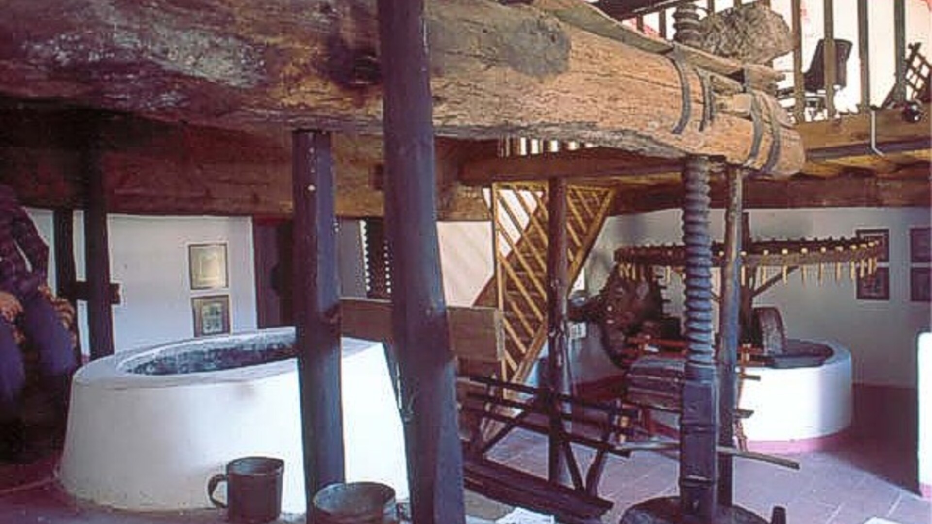 Museu Lagar de Varas Estevão Martins da Rocha em Famalicão da Serra;