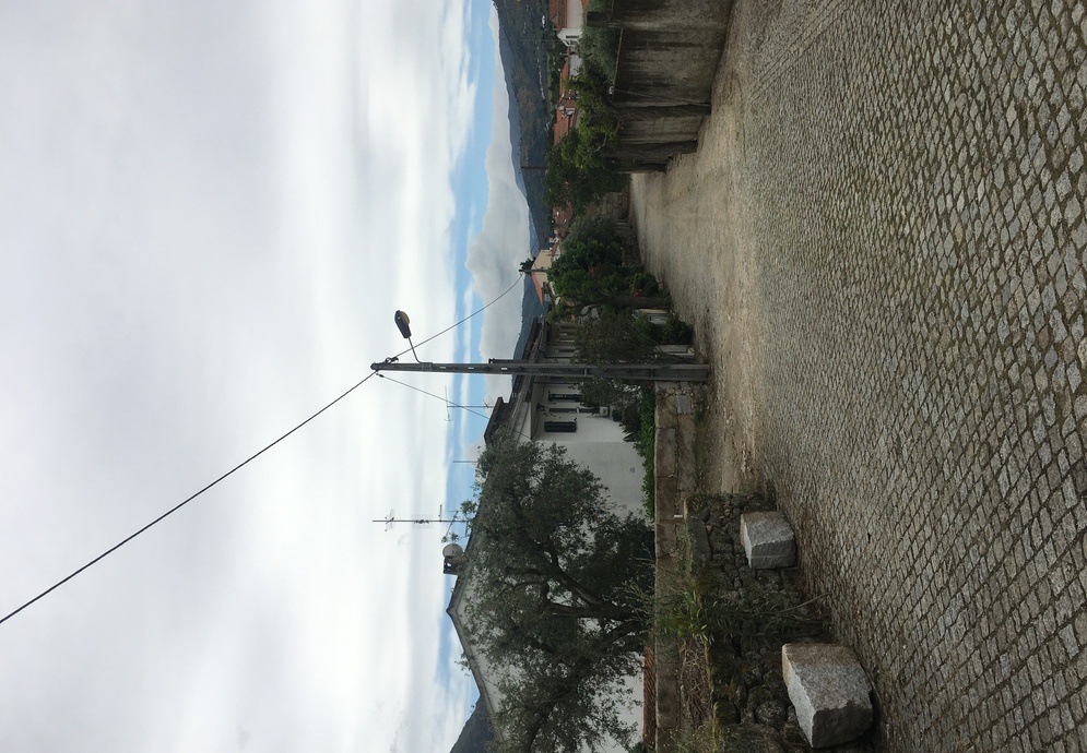 fonte: porto da carne 