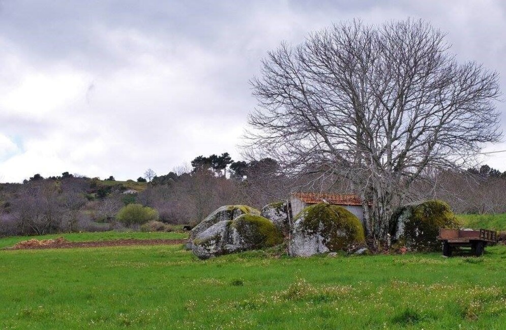 fonte: meios 