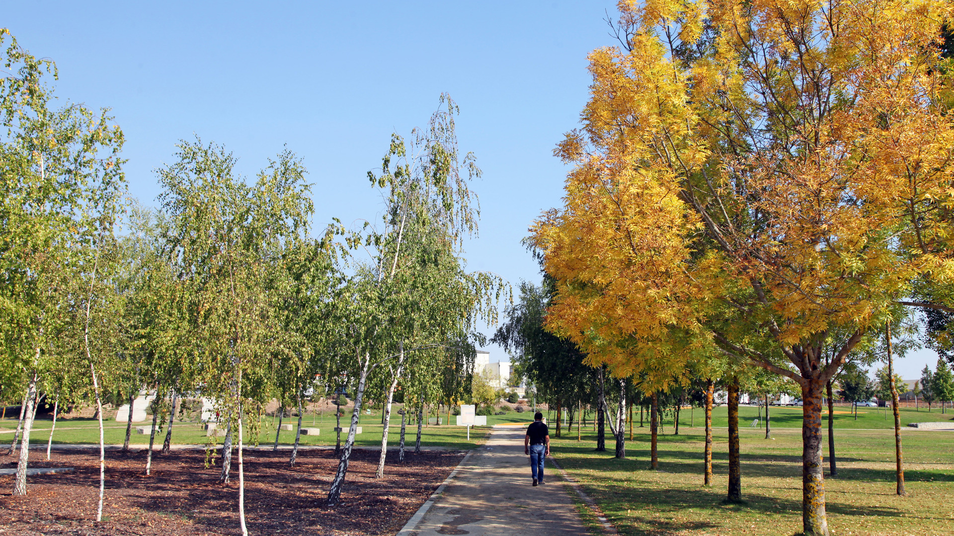 parque autocaravanismo;