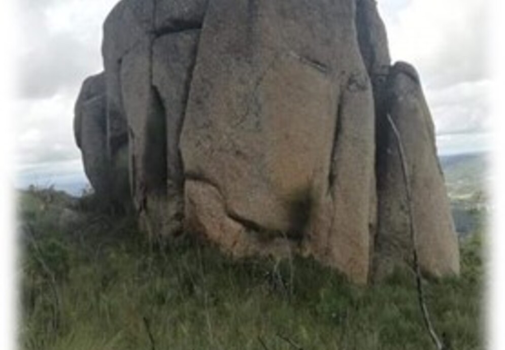 fonte: vila cortês do mondego 