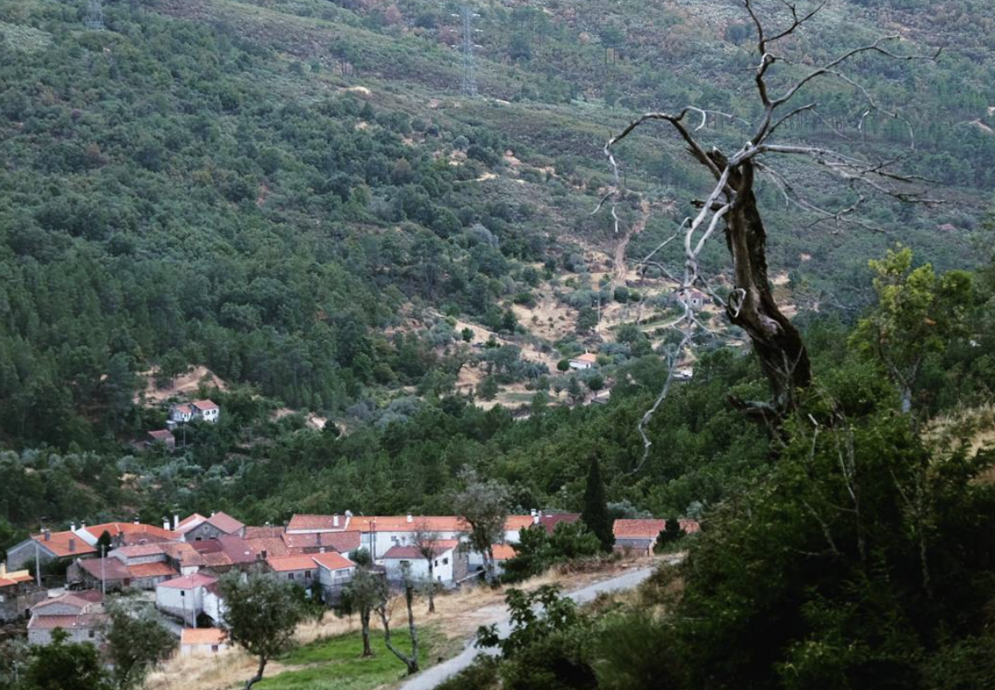 fonte: ramela