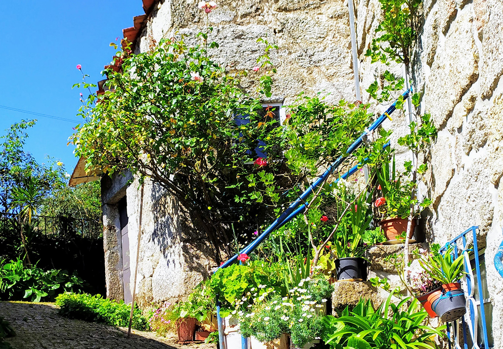 fonte: sobral da serra 