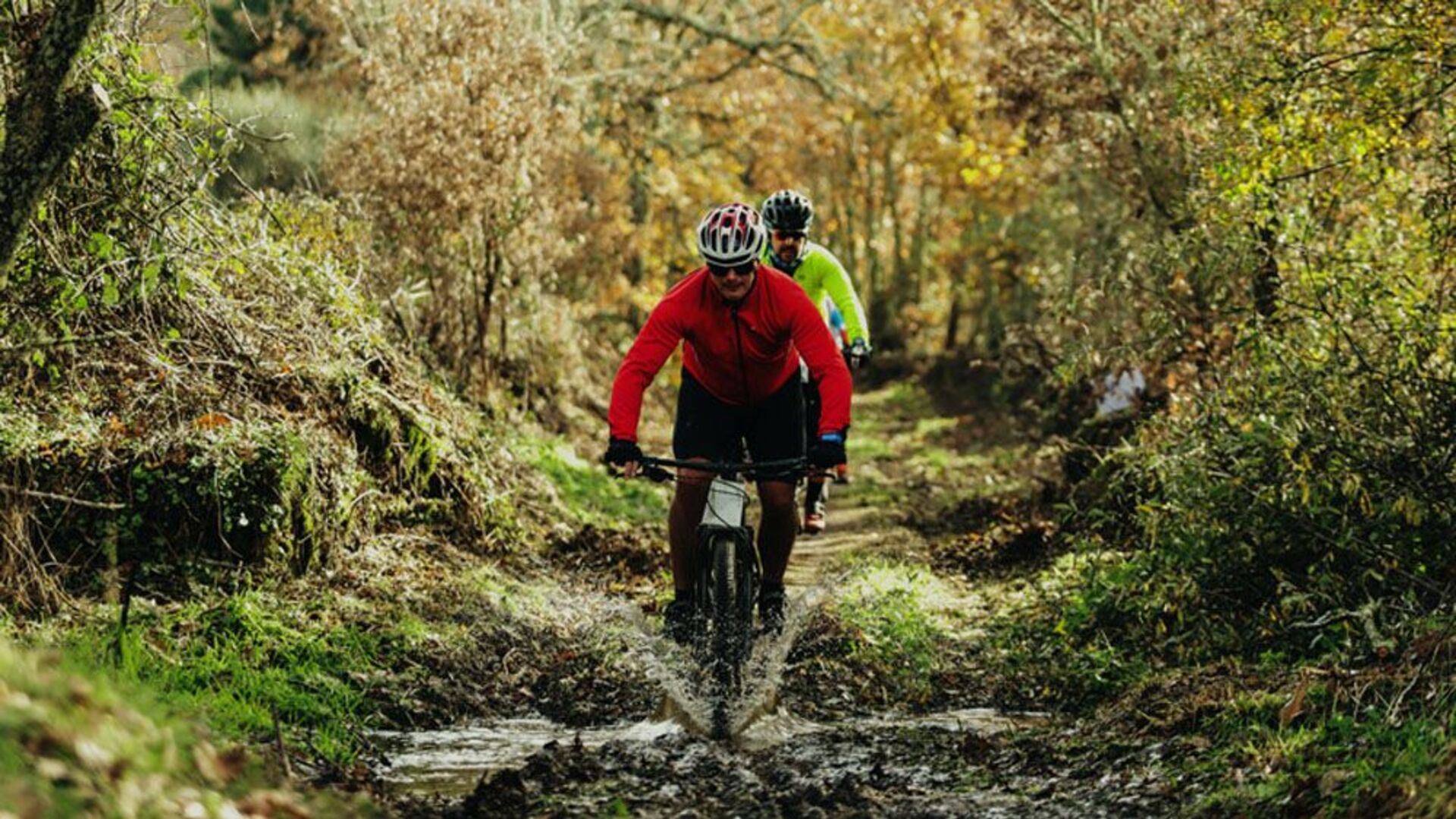 cycling 1;