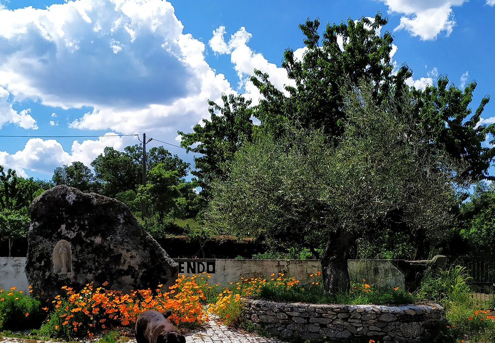 fonte: vila fernando 