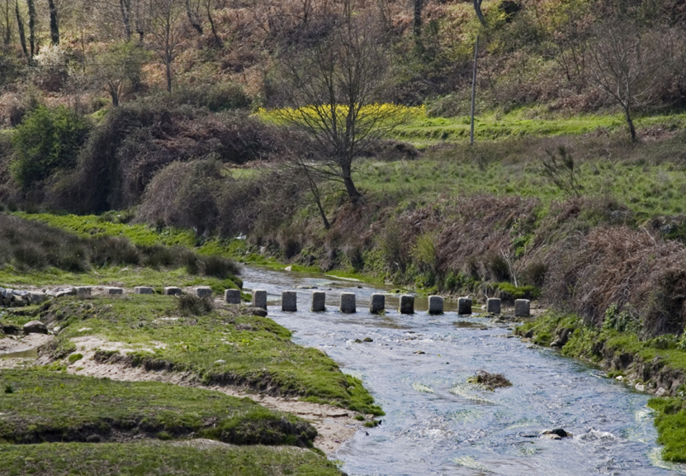 fonte: corujeira 
