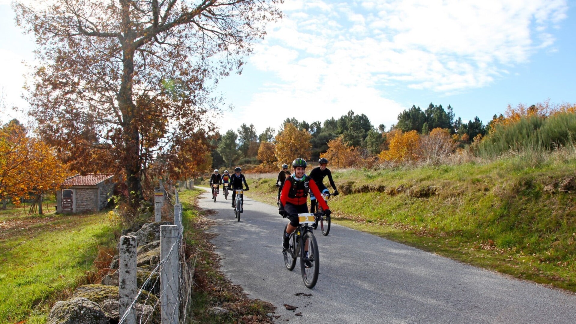 cyclin guarda;