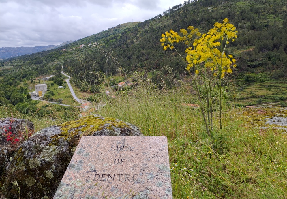 fonte: vila soeiro