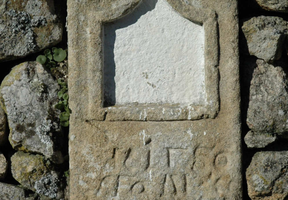 fonte: avelãs de ambom 