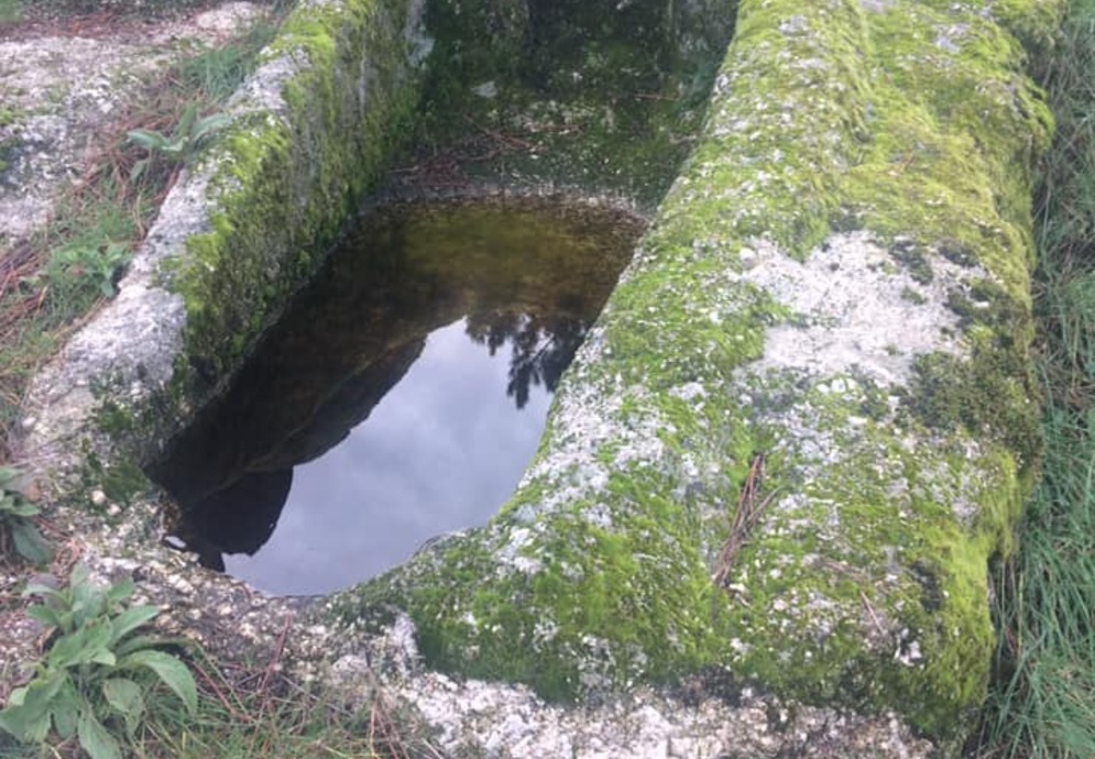 fonte: ramela