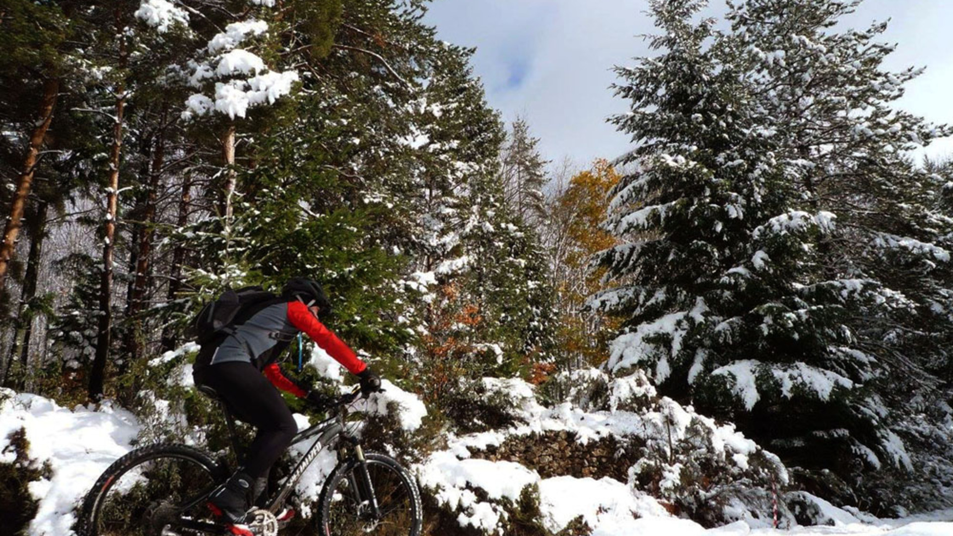Camino 7 Negro - BTT | Centro Cyclin de Guarda;