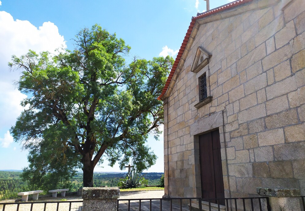 fonte: marmeleiro 