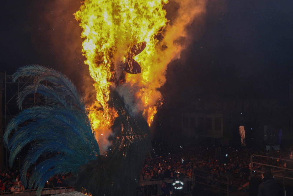 guarda folia 