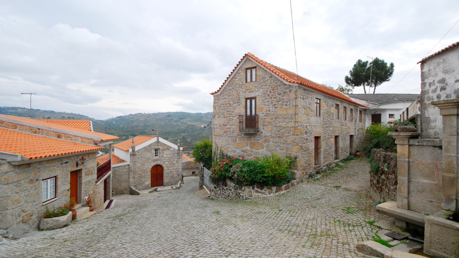 fonte: corujeira;