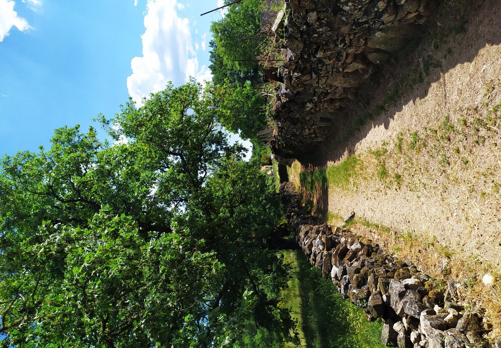 fonte: marmeleiro 