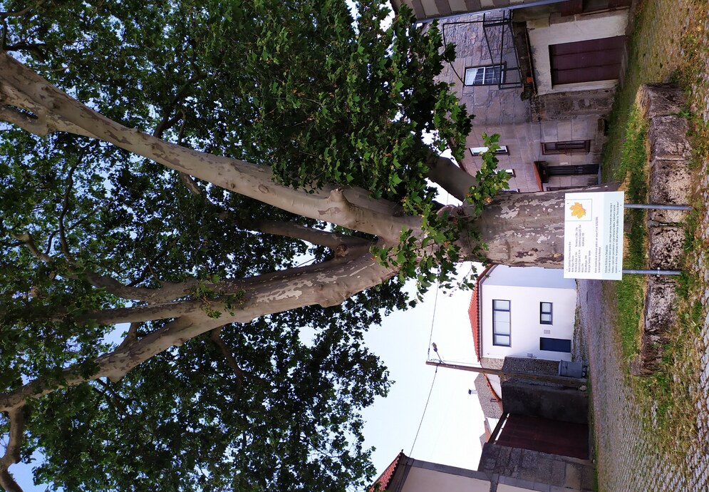 fonte: rochoso
