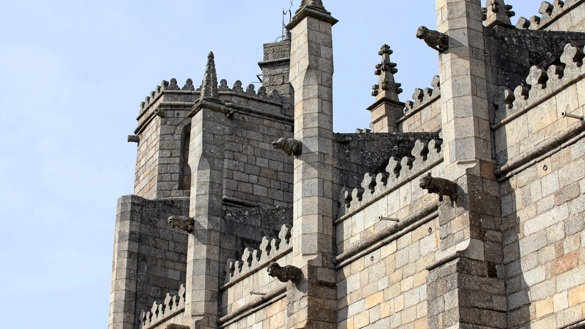 Gargoyles of the Cathedral;