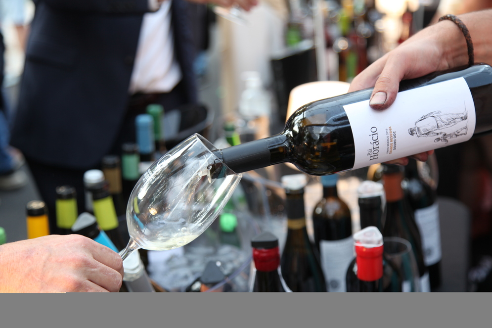 guarda winefest