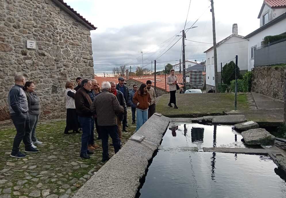 visita comentada