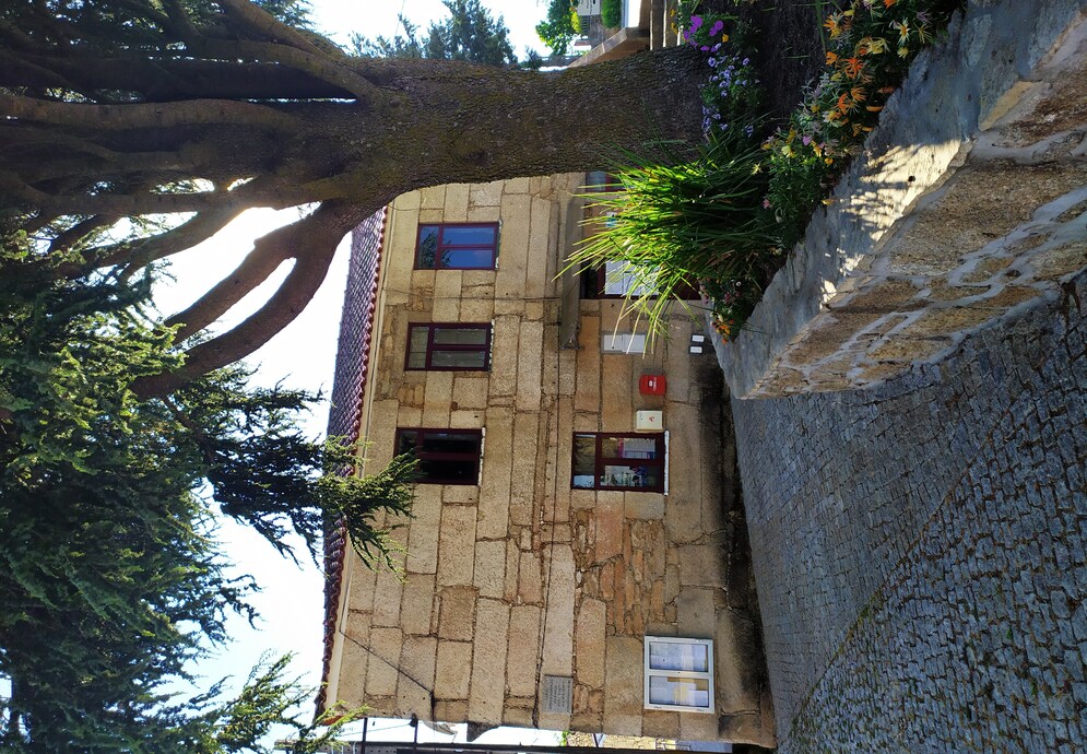fonte: rochoso