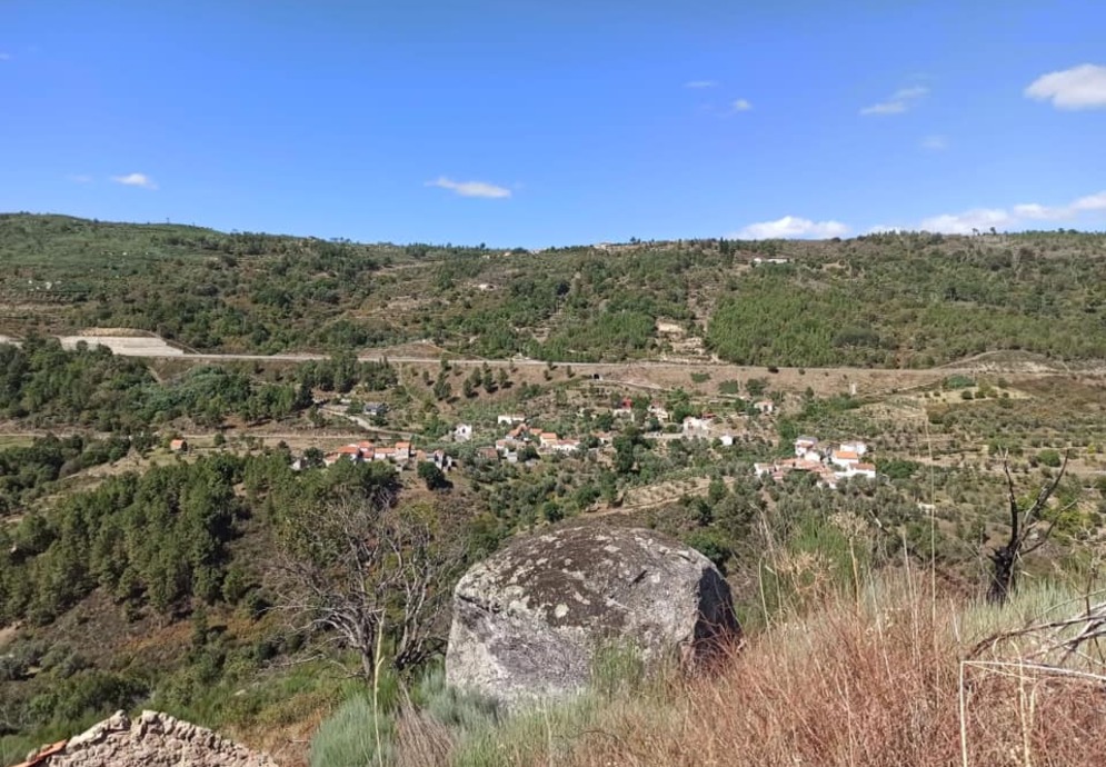 fonte: ramela